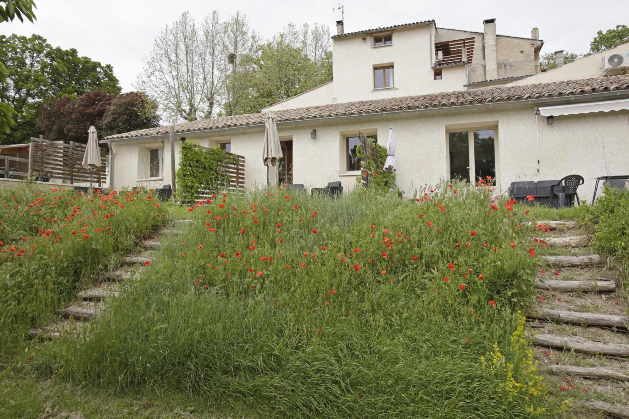 Les Anes De Forcalquier Otel Oda fotoğraf