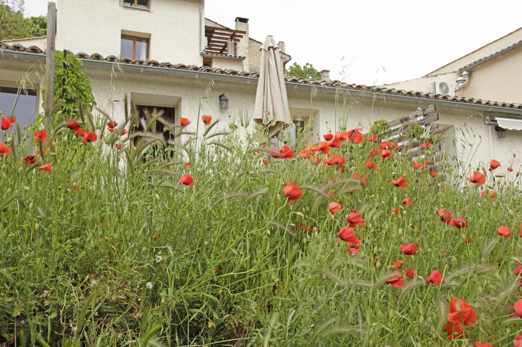 Les Anes De Forcalquier Otel Oda fotoğraf